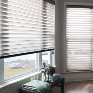 2" Vanes Light Filtering Sheer Shades