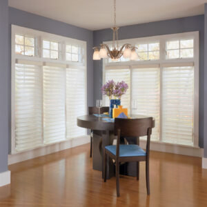 3" Vanes Light Filtering Sheer Shades