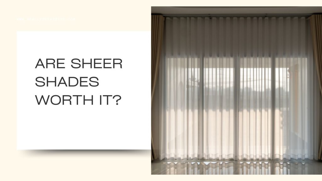 Homeowners knows about pros and cons of sheer shades
