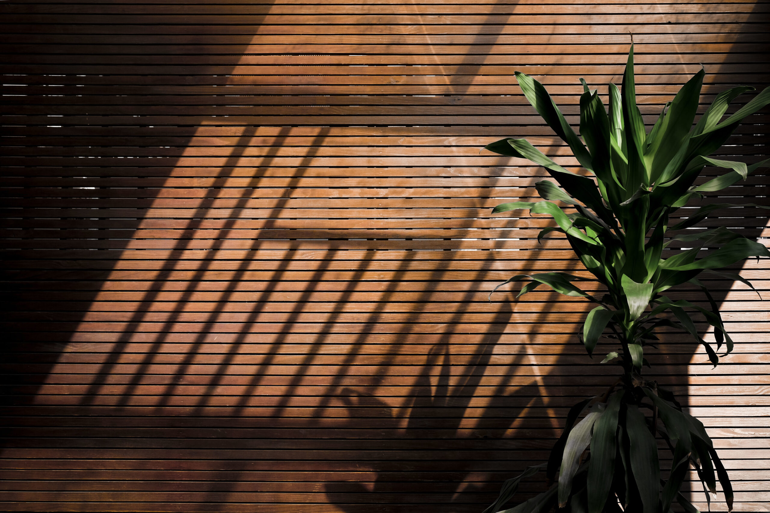 Bamboo woven shades | Motorized Shades
