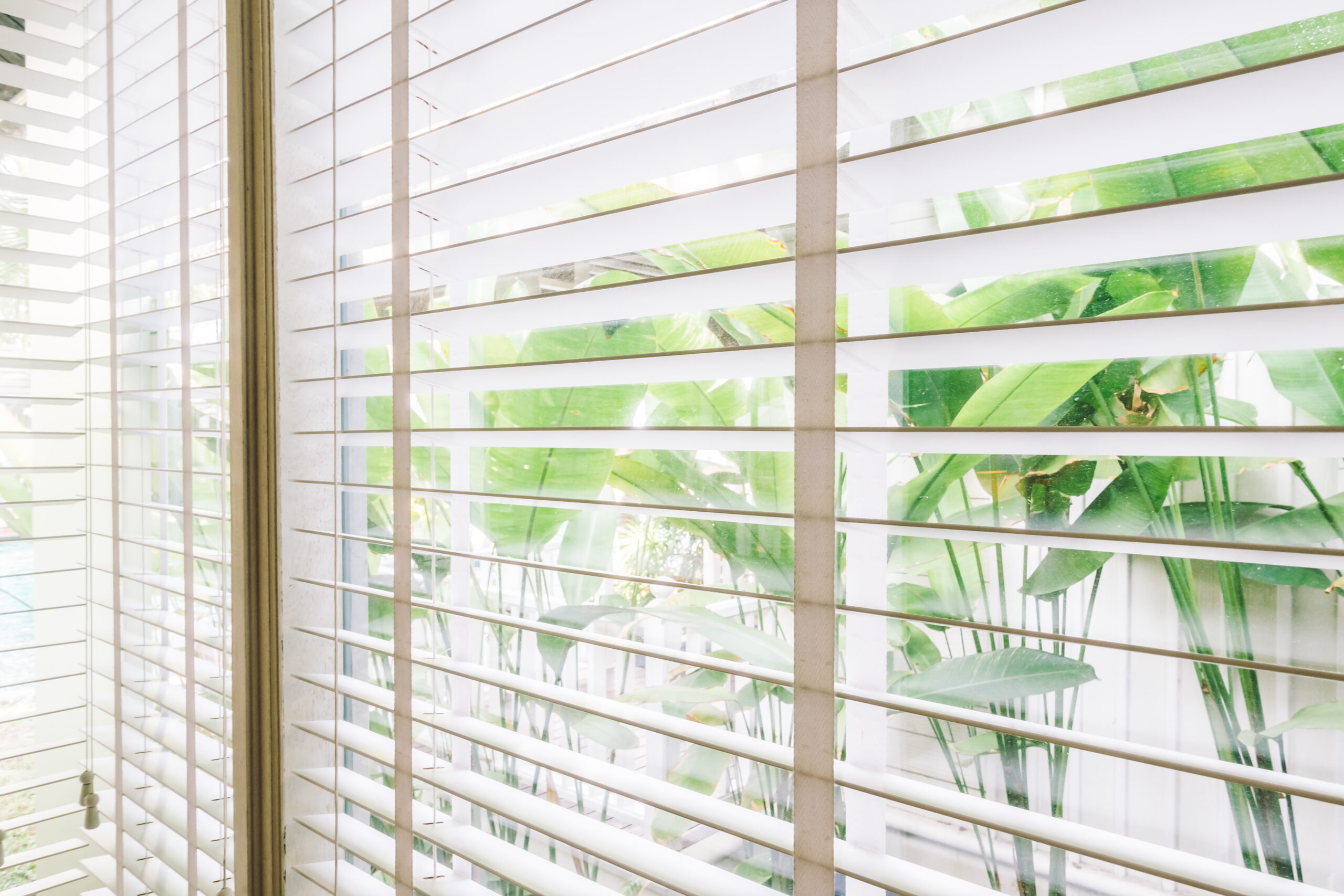 Solar Shades Protects UV Rays and Light Filtering