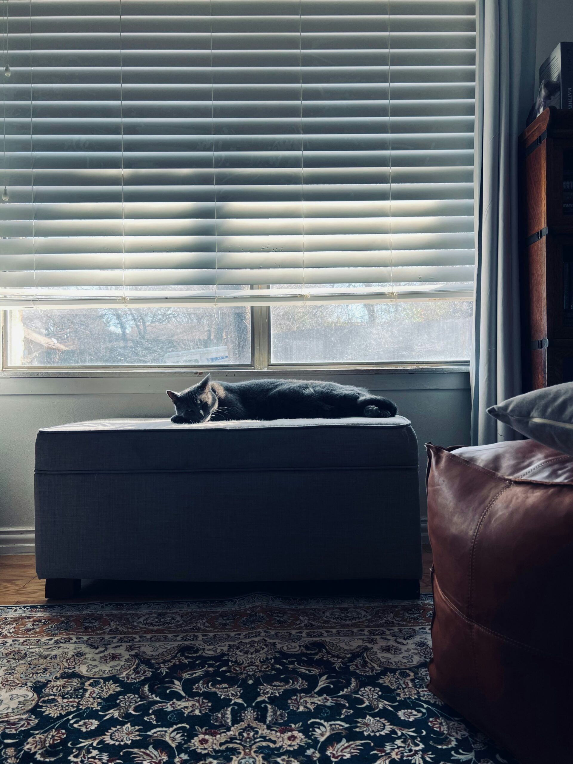 Cellular Blackout Blinds