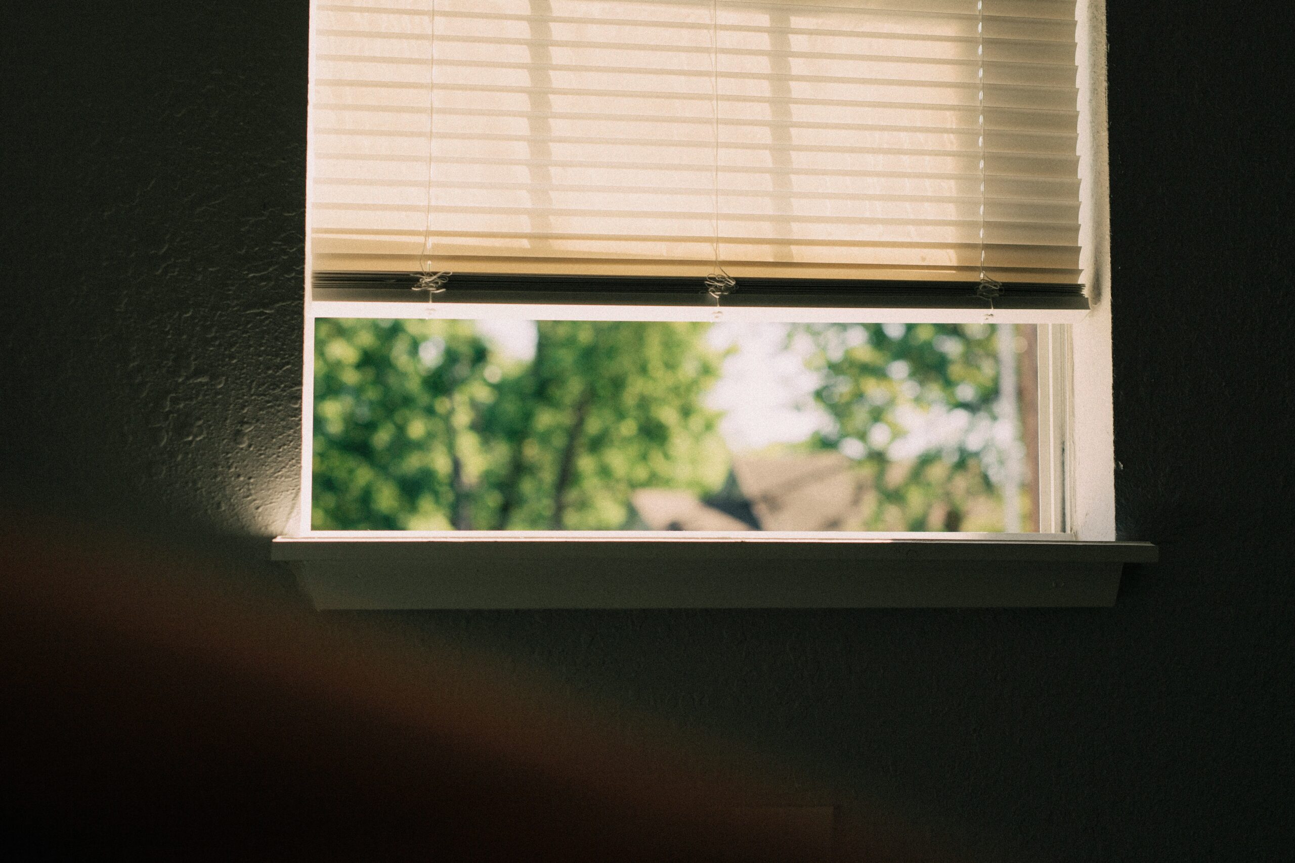 Faux Wood Blinds for Olney Homeowners