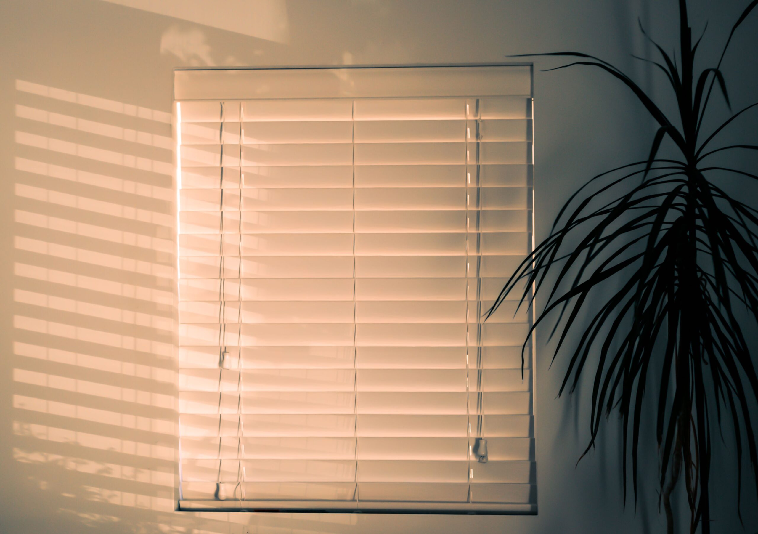 Solar Shades for UV Rays Filtering for Ellicott City