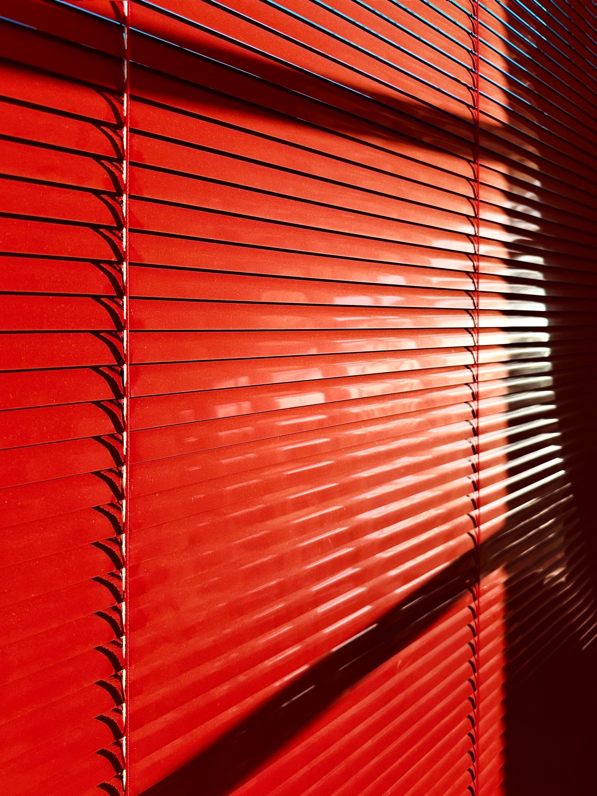 Window Treatments or Installation for Pikesville Resident