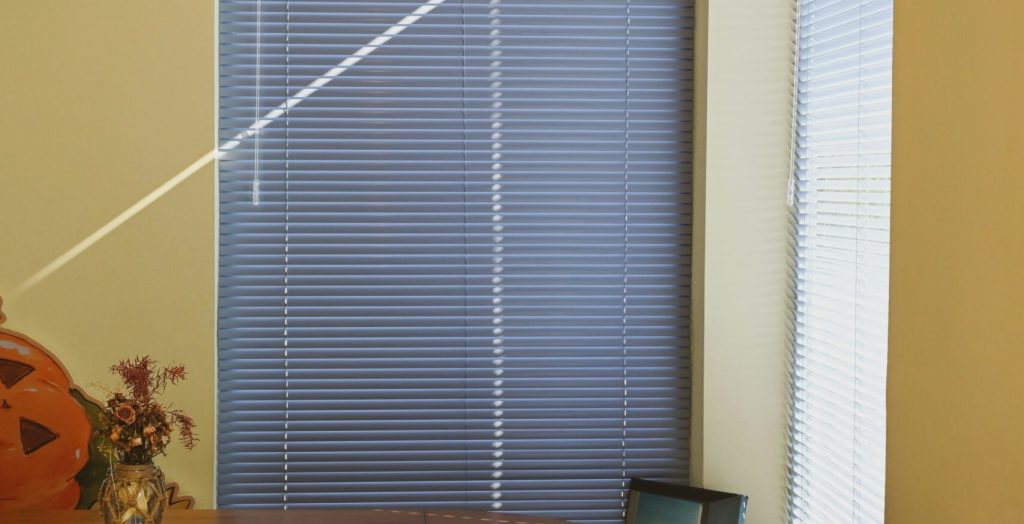 Top Down Bottom Up Pleated Shades
