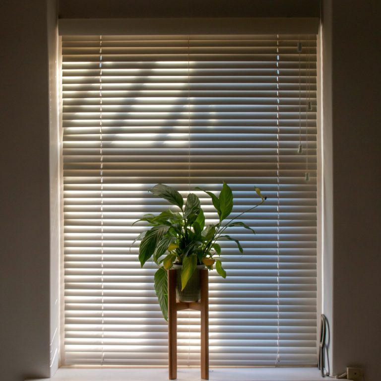 Top Down Bottom Up Shades for Windows